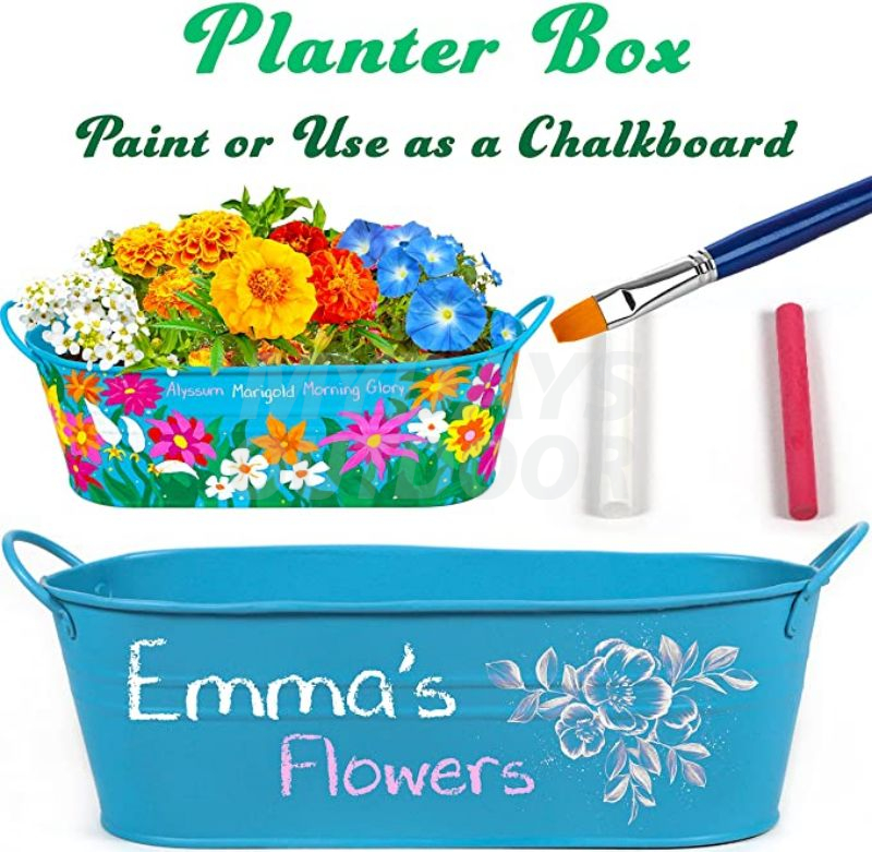Paint & Grow Flower Gardening Kit
