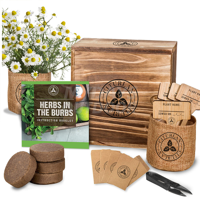 Herb Starter Kit - Lavendel, Chamomille, sitronmelisse, myntefrø for planting