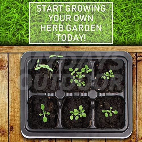 Herbs Starter Growing Kits 