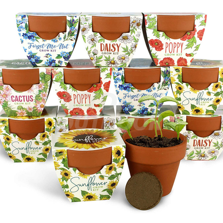 Terracotta Mini Grow Pots
