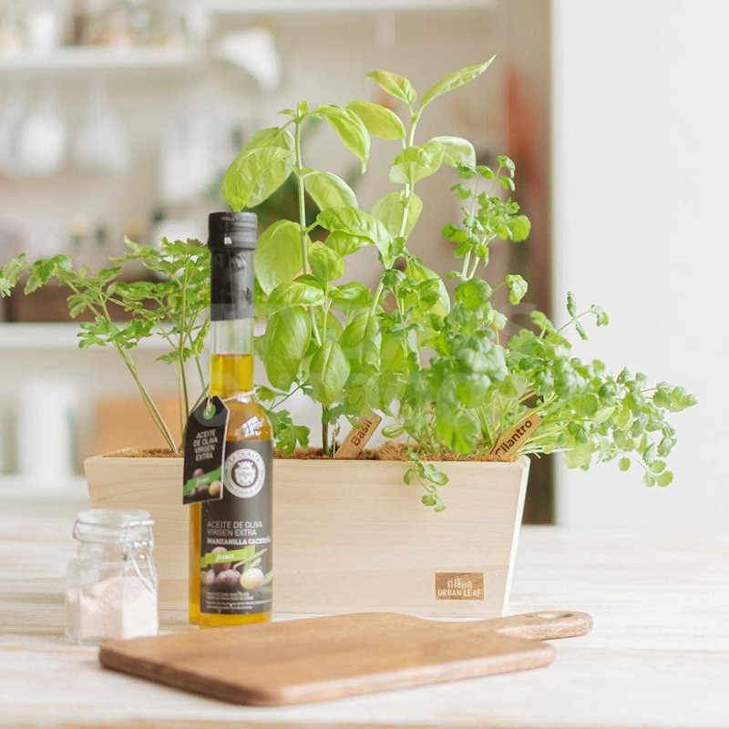 Indoor Herb Gardening Kit