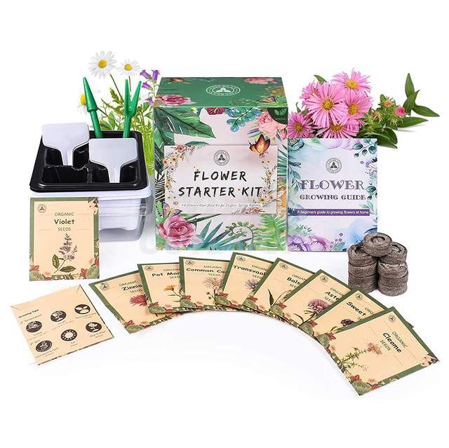 Blommaträdgårdsuppsättning växande kit
