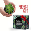 Cactus & Succulent Starter Kit