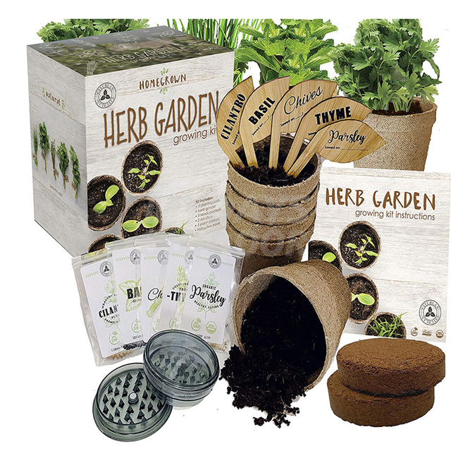 Herb Garden Growing Seed