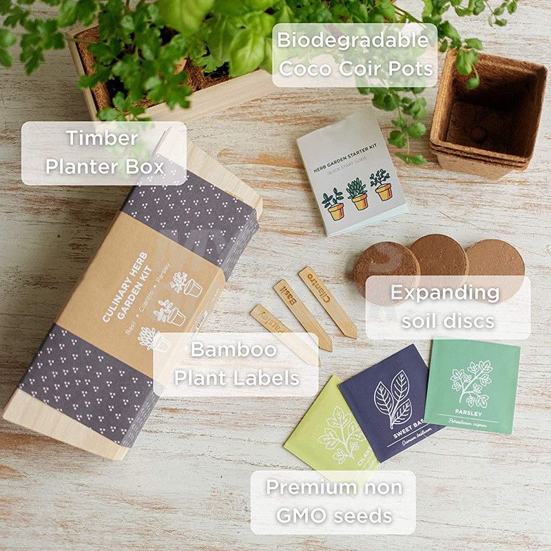 Indoor Herb Gardening Kit