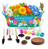 Paint & Grow Flower Gardening Kit