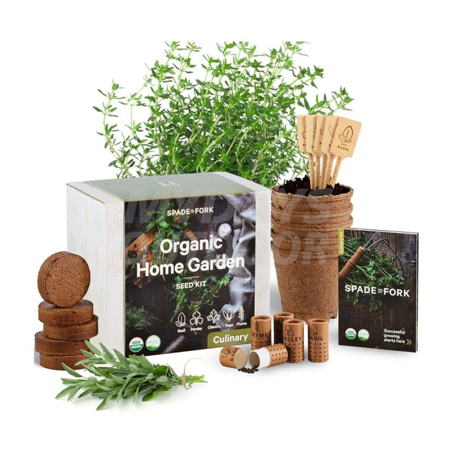 Diy Kitchen Grow Kit inomhus ört Garden Starter Kit